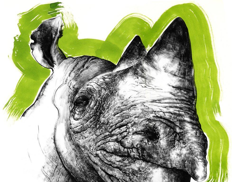 Rhino